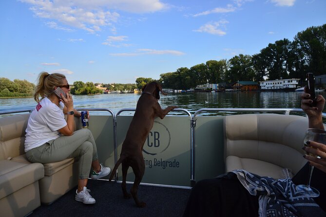 2 hours / Sightseeing Boat cruise Drinks Included - Ada Bridge and the Belgrade Eye: modern Belgrade from a moving viewpoint
