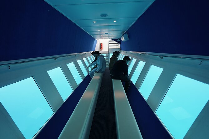 3 Hour Yellow Semi Submarine Swimming Cruise with Drinks Included! - Stop 1: Traganou Caves swim stop and the boat-only cave experience