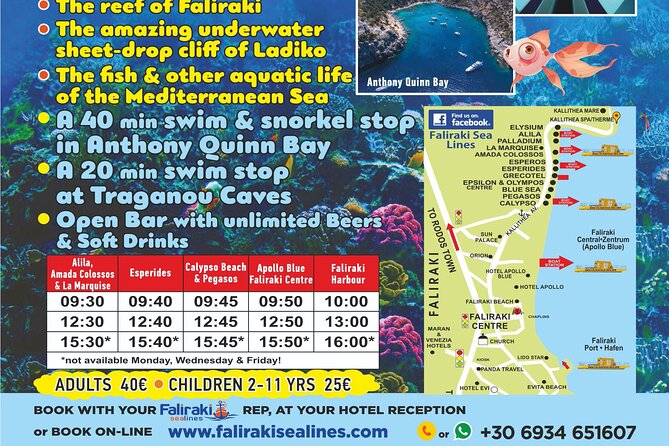 3 Hour Yellow Semi Submarine Swimming Cruise with Drinks Included! - Gear, safety, and service: what to watch before you swim