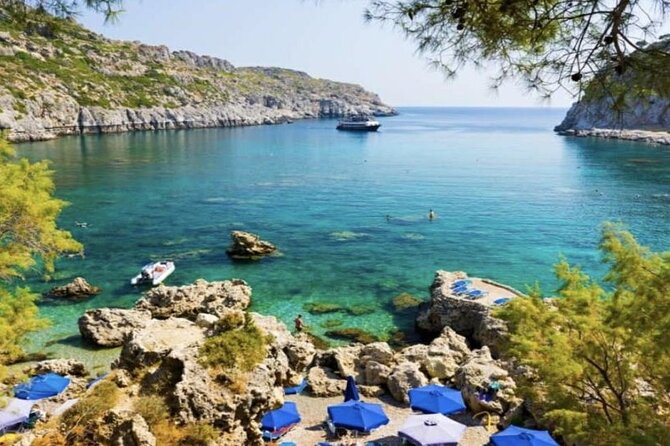 3 Hour Yellow Semi Submarine Swimming Cruise with Drinks Included! - Who should book this Yellow Submarine cruise