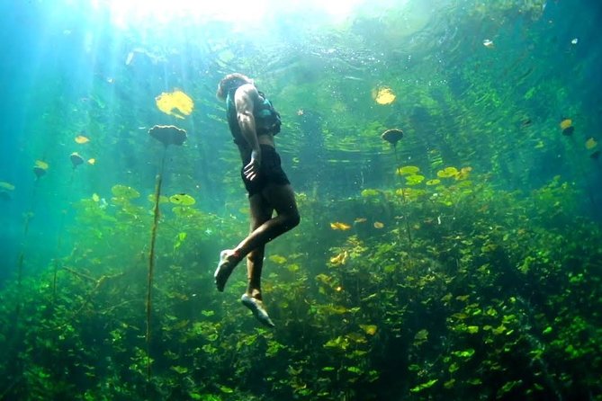 4-in-1 Cenote Tour Guided Experience with Breakfast, Lunch & Wine - Pickup, Group Size, and the Reality of a Long Day From 8:00 AM