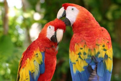 4-in-1 Cenote Tour Guided Experience with Breakfast, Lunch & Wine - Price and Value: What You’re Actually Paying For