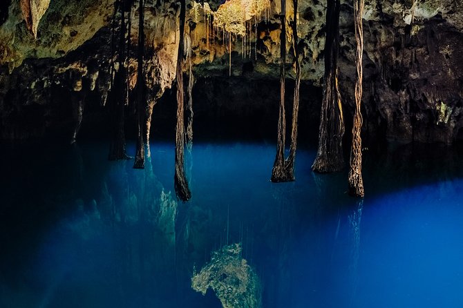 4-in-1 Cenote Tour Guided Experience with Breakfast, Lunch & Wine - Lu’um (Earth) Cenote: The Assisted Rappel Descent