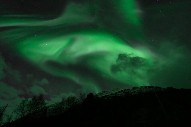 7 hours Tromsø Aurora Tour: Photos, snacks & warm drinks included - Meet at Fr Nansens plass 1A: the quick checklist before the bus leaves