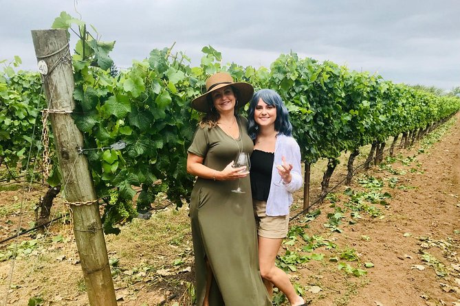 Amy & Reba's Day Drinking Wine Tours, Where we'll Drive you to Drink - Stop Two in Newberg: Another Set of AVAs, Another Pace