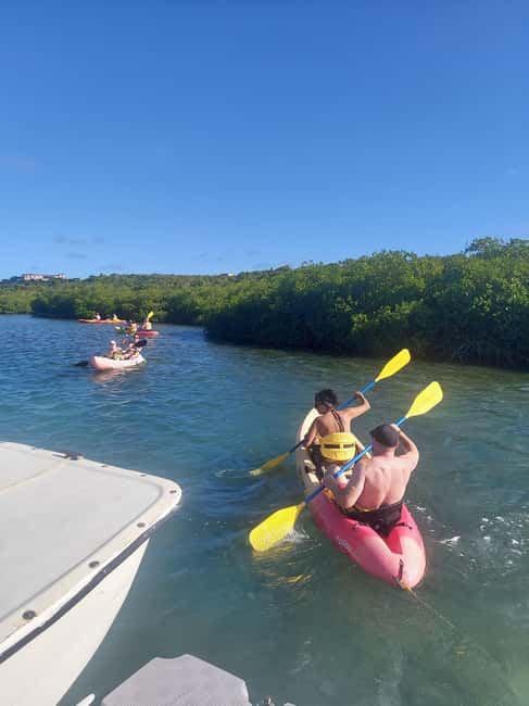 Antigua: Drink Till Your Drunk Rum Drinking & Discovery Tour - Key things you’ll remember most