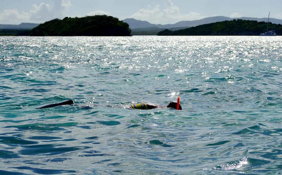 Antigua: Drink Till Your Drunk Rum Drinking & Discovery Tour - What Makes This Antigua Rum Tour Feel Like a Real Experience