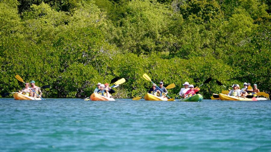 Antigua: Drink Till Your Drunk Rum Drinking & Discovery Tour - How the day starts: pickup coverage and the St. John’s photo moment