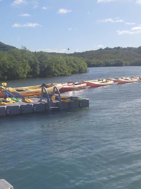 Antigua: Drink Till Your Drunk Rum Drinking & Discovery Tour - The rum experience: tastings, shots, and how to keep it fun
