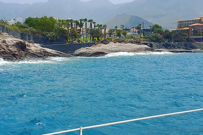 CATAMARAN OCEAN CRUISE TOUR, Food & Drinks included! - First stop: heading toward La Gomera for whales and dolphins