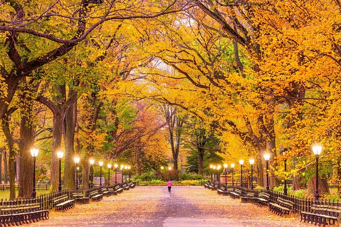 Central park Tour happy hour Pedicab tour - Key Things To Know Before You Go