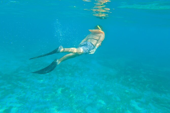 Dancer Cruise Isla Mujeres Snorkel Food and Drinks Included - Is $84.15 Worth It? Counting Value the Smart Way