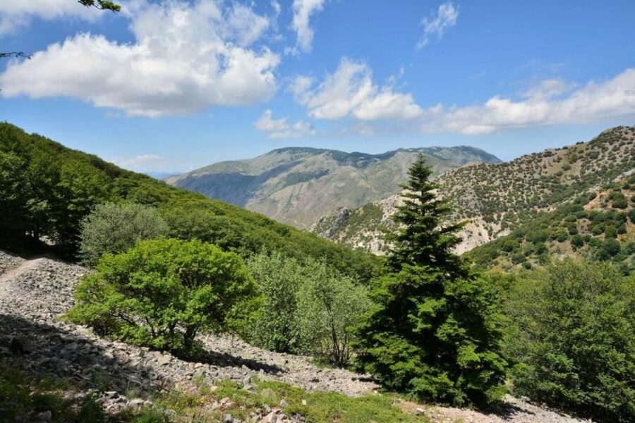 From Cefalù: Authentic Sicilian Villages and Happy Hour - Gratteri Above the Tyrrhenian: Guided Village Time and Big Views