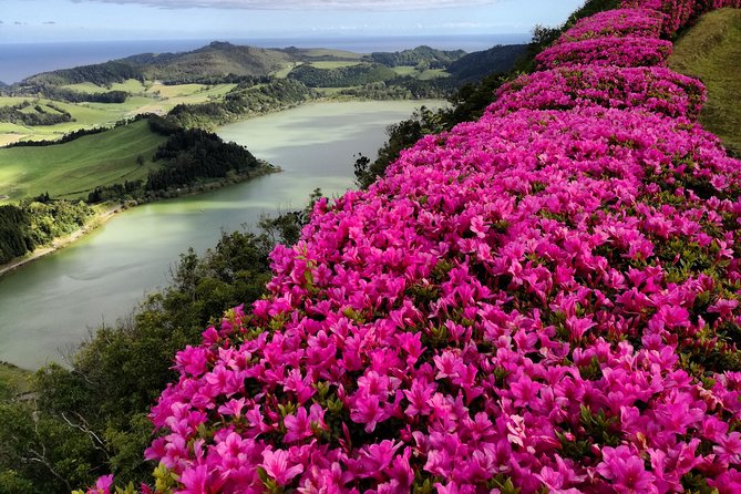 Full Day Jeep Tour Furnas with lunch (Cozido) and drinks included - Quick take: what makes this Furnas and tea loop worth your time