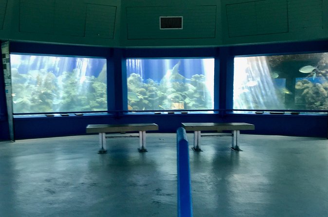 Guided Tour of Coral World Ocean Park & Happy Hour - Happy Hour Drinks: Getting the Most From the Complimentary Pour