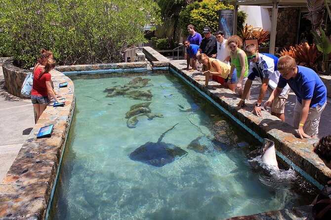Guided Tour of Coral World Ocean Park & Happy Hour - What’s Included in the $60 Ticket (and Where the Value Comes From)