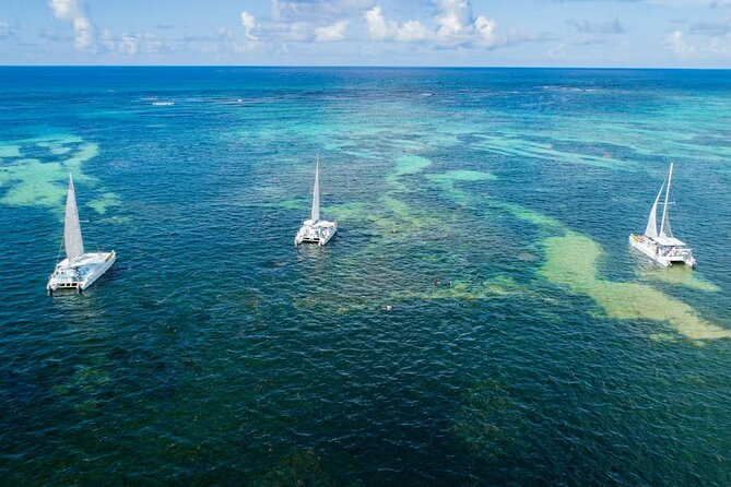 Happy Hour Party Boat With Snorkeling - Price and Value: Is $85 Worth It?