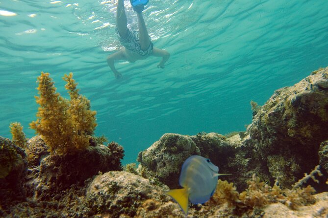 Happy Hour Party Boat With Snorkeling - Weather, Schedule Changes, and How to Stay Calm