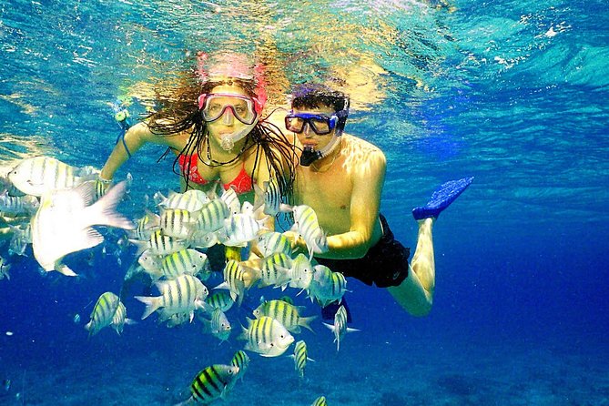 Happy Hour Party Boat With Snorkeling - Timing and Transfers: How the Afternoon Plan Really Works