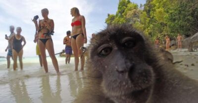 Koh Phi Phi: Captain Bob's Private Booze Cruise - Price and Group Value: When $920 Makes Sense