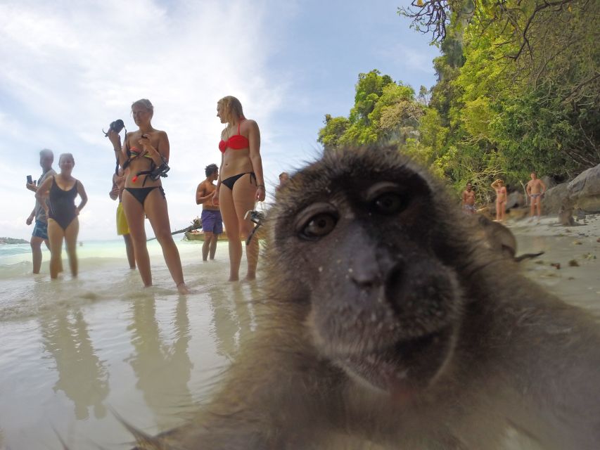 Koh Phi Phi: Captain Bob's Private Booze Cruise - Maya Bay Free Time: The Walk, the Famous Beach, and the Bugs