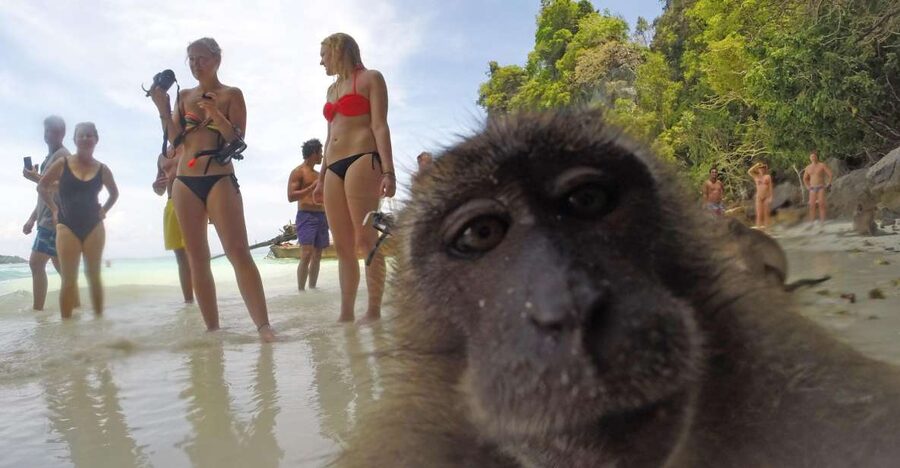 Koh Phi Phi: Captain Bob's Private Booze Cruise - Price and Group Value: When $920 Makes Sense