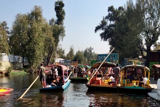 Mixology, Food, Wine and Beer Experience in Xochimilco - The 9:30 AM Plan: How Your Half-Day Feels in Real Time