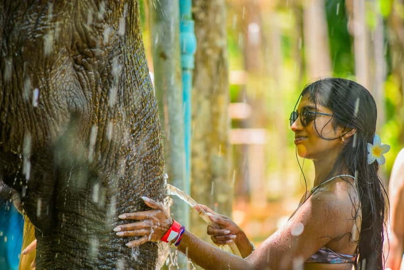 Phuket: Happy Hour Feed and Rain Shower with Elephant - Phuket Elephant Happy Hour at Lily Elephant Camp: what it feels like