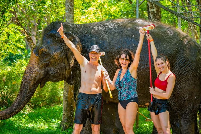 Phuket: Happy Hour Feed and Rain Shower with Elephant - The 2:30 pm flow at the camp: what to expect during the session