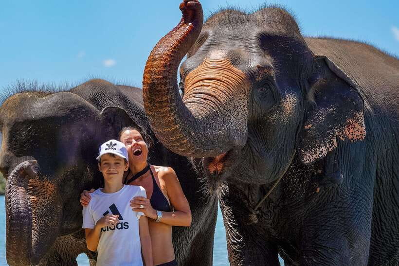 Phuket: Happy Hour Feed and Rain Shower with Elephant - What’s included in the $37 price (and why the value is more than the number)