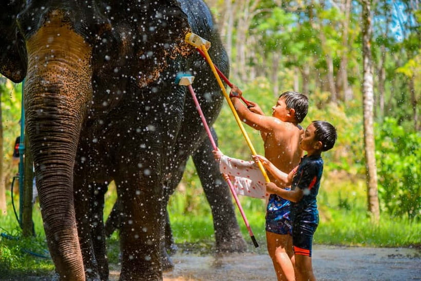 Phuket: Happy Hour Feed and Rain Shower with Elephant - What to bring for a rain shower day in Phuket