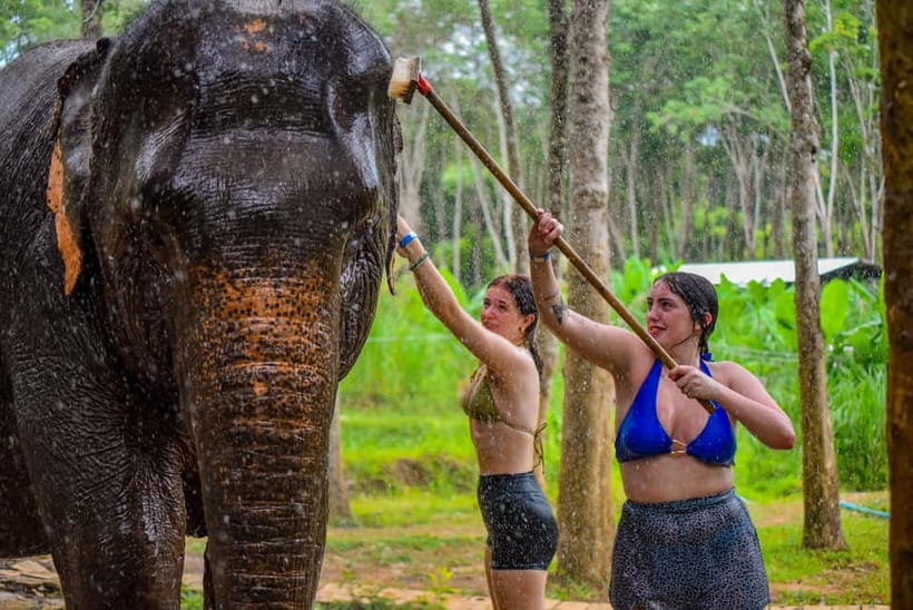 Phuket: Happy Hour Feed and Rain Shower with Elephant - Who should book this elephant happy hour (and who might not love it)