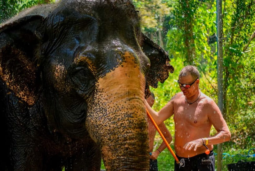 Phuket: Happy Hour Feed and Rain Shower with Elephant - Booking tips that make the day smoother