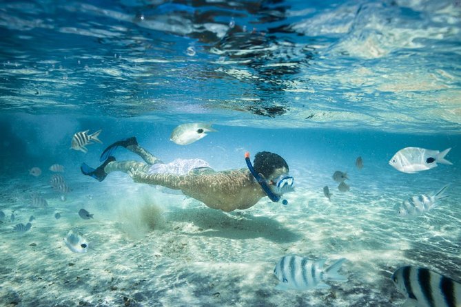 Punta Cana Booze Cruise with Snorkeling, Natural Pool & Open Bar - Quick hits: why this cruise is popular in Punta Cana