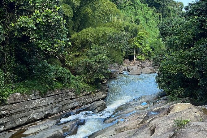 Rainforest Waterfall Slides/Adult Drinks included/ Beach - Fruit, Wildlife Feel, and the Local-Spot Mindset