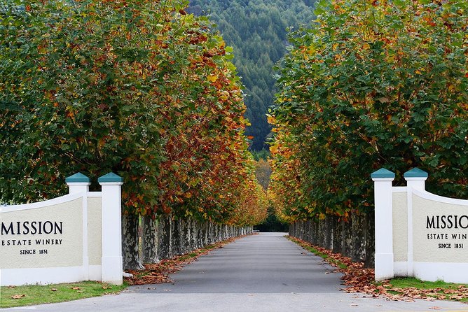Small group - Napier Premium Wineries+ Beer tour -5.0 - 5.5 hours - Beer at the end: 3 glasses in Napier’s Art Deco center