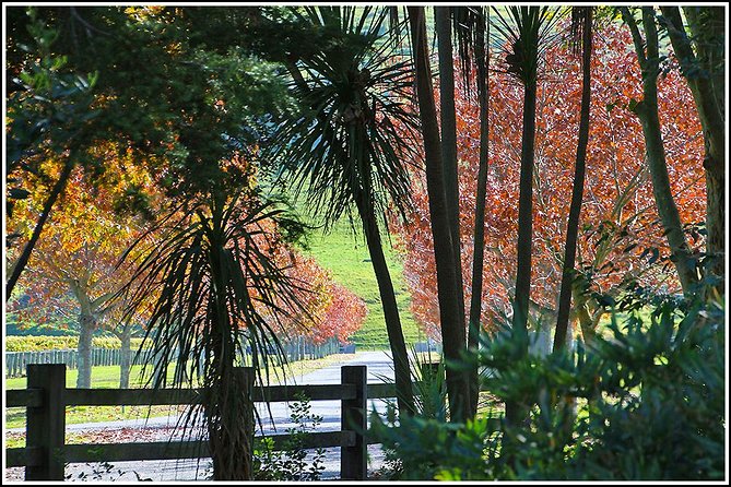 Small group - Napier Premium Wineries+ Beer tour -5.0 - 5.5 hours - Weather and pace: what to expect on a less-than-perfect day