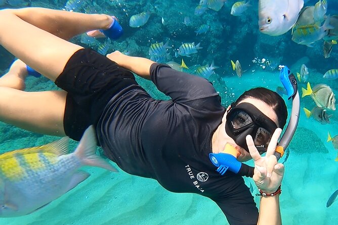 Snorkeling On Chilean Beach Transportation And Drinks Included - Key things to know before you go