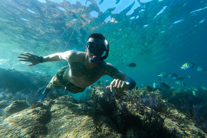 Snorkeling On Chilean Beach Transportation And Drinks Included - Price and value: is $90 a fair deal?
