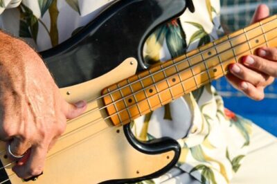 St. Augustine Live Music Cruise with Drinks and Sunset Option - The live musician factor: why the soundtrack matters on the water
