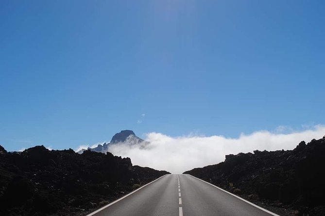 TEIDE NIGHT Astronomy Stargazing Bus Tour, Meal & Drinks included! - Getting picked up: where the bus comes from