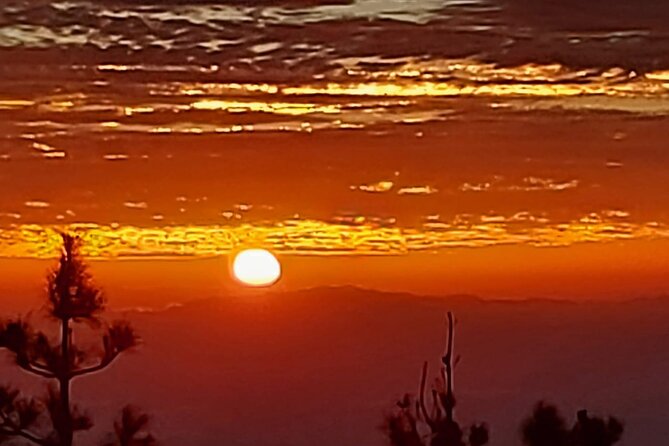 TEIDE NIGHT, Stargazing Bus Tour, Meal & Drinks included! - Entering the Teide Stargazing Session: Lasers, Telescopes, and Sky Stories