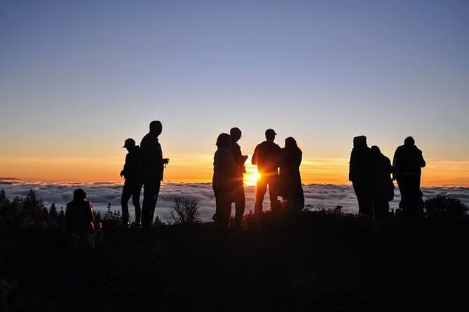 TEIDE NIGHT, Stargazing Bus Tour, Meal & Drinks included! - Cold, Wind, and Moonlight: How to Avoid a Sore, Blurry Night