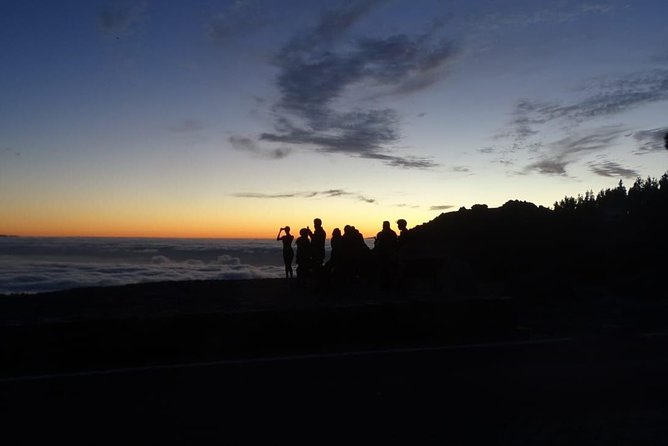 TEIDE NIGHT, Stargazing Bus Tour, Meal & Drinks included! - Price and Value: Is $117.11 a Good Deal for Teide Night?