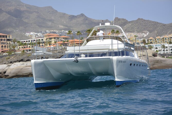 Tenerife Sunset Catamaran tour with transfer - Food and Drinks included. - Onboard Wi‑Fi, restroom, and staying comfortable at sea