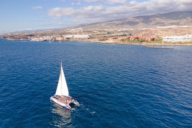 Watching and Listening Whales visiting Los Gigantes&Masca. Food&drinks included - The Meal and Drinks: Real Canarian Comfort Onboard