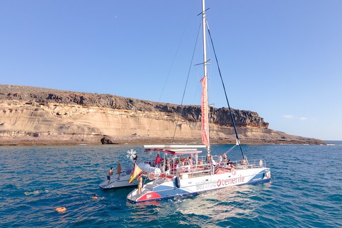 Watching and Listening Whales visiting Los Gigantes&Masca. Food&drinks included - Whale and Dolphin Spotting: How to Increase Your Chances