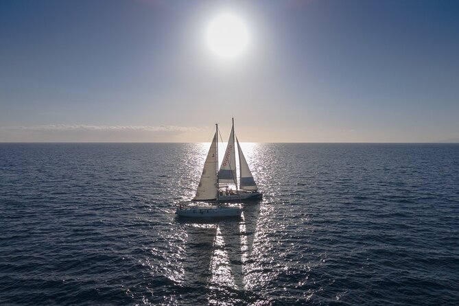 Watching and Listening Whales visiting Los Gigantes&Masca. Food&drinks included - Price and Value: What $68.61 Gets You