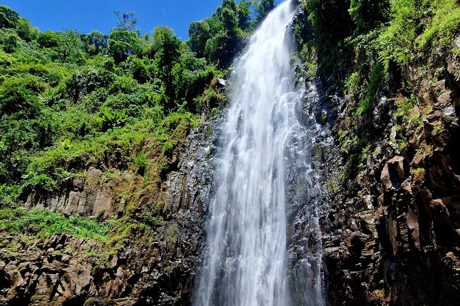 Waterfall, coffee tour & hot springs - lunch and drinks included - Kikuletwa Hot Springs: warm water, swim time, and monkey spotting