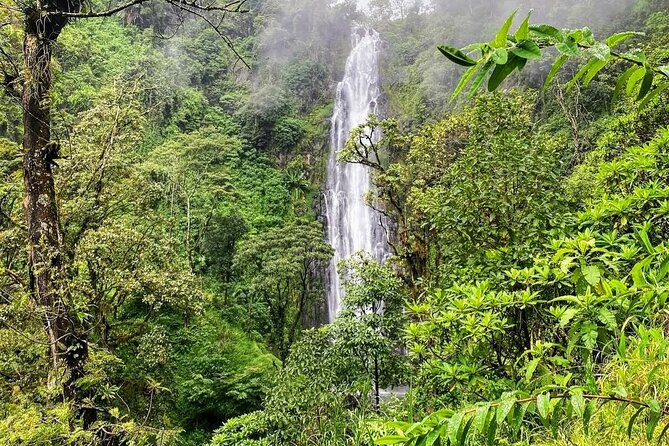 Waterfall, coffee tour & hot springs - lunch and drinks included - Price and value: why $99 can make sense here
